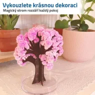 Magický kvitnúci strom - Sakura